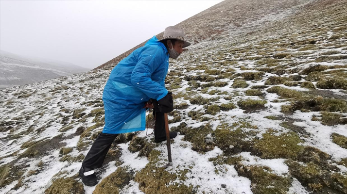 黑龍江硬木企口體育木地板直銷
