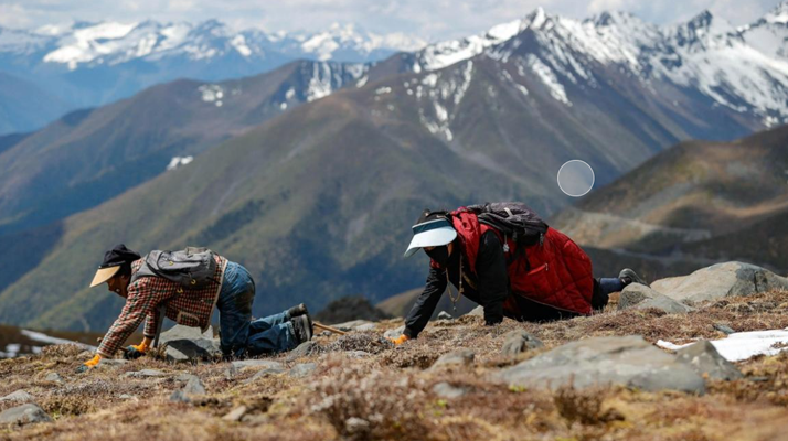 新疆企口體育木地板哪個品牌好