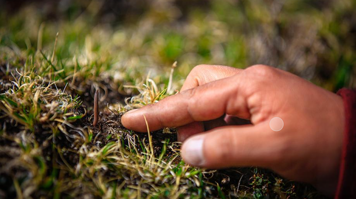 24厚體育木地板造價