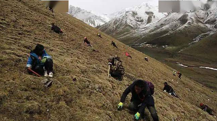 專業的體育木地板一平米價格