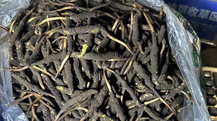 柞木籃球運動地板廠**報價表