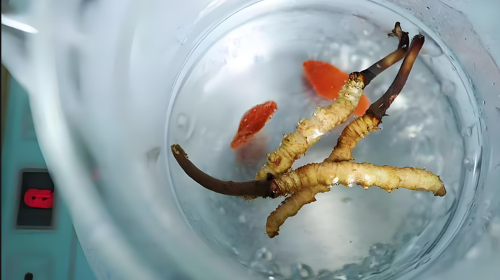 專用體育運動地板廠家報價