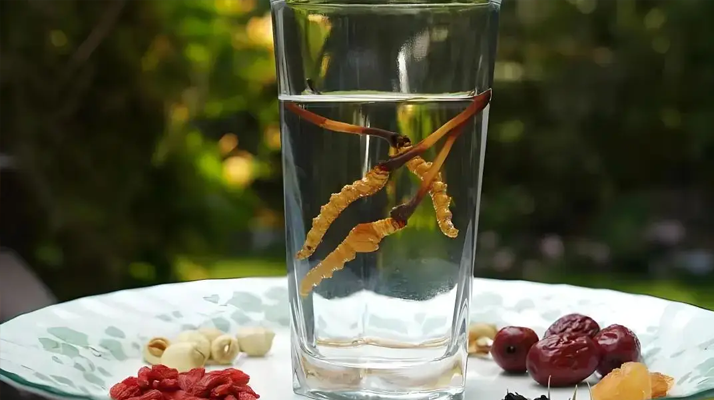 楓木體育運動地板品牌有哪些