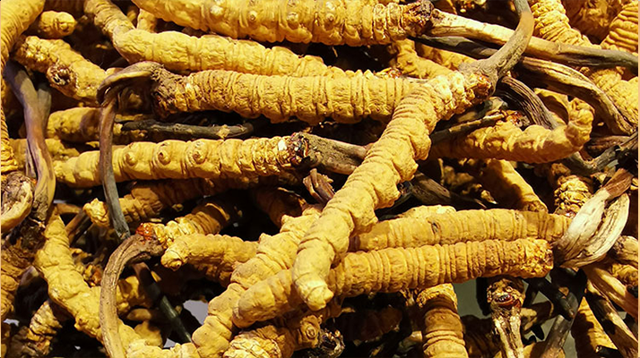 松木籃球場木地板怎么翻新？