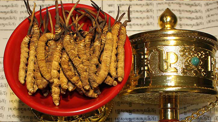 海南柞木體育木地板廠