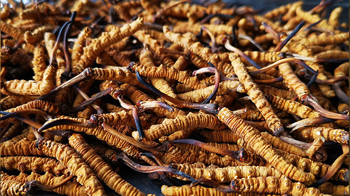 常見(jiàn)的舞臺(tái)木地板厚度