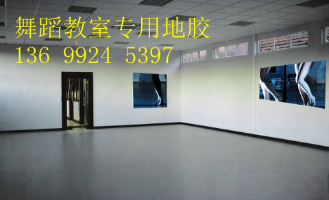 國(guó)內(nèi)*專業(yè)的舞蹈地板生產(chǎn)廠家 國(guó)內(nèi)*專業(yè)的舞蹈地板生產(chǎn)廠家