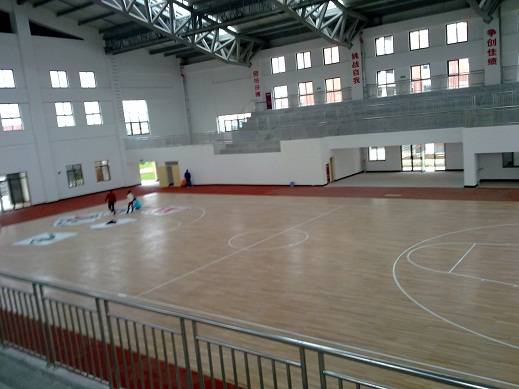 體育木地板 體育木地板
