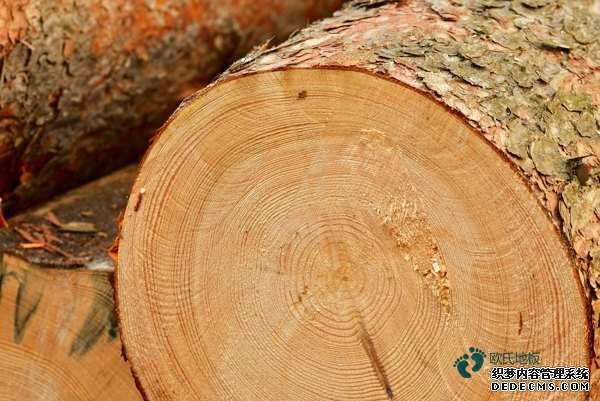 場館籃球地板報價